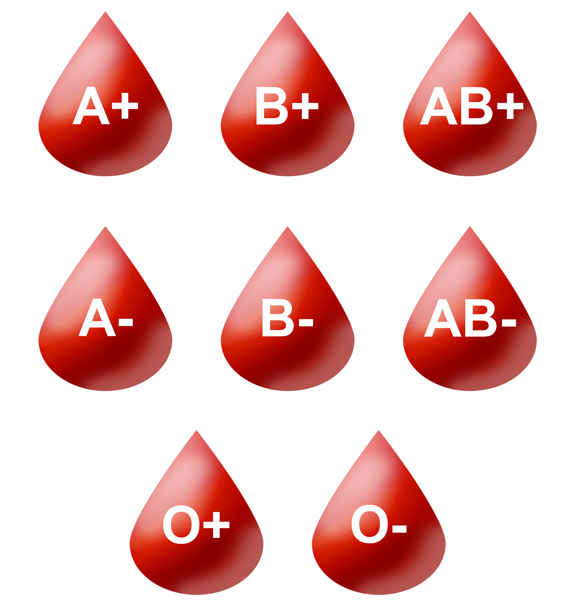 Explain How Human Blood Types Are Determined By Multiple Alleles
